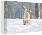 Canvas Schilderij Weergave van een labrador hond spelend in de sneeuw - 30x20 cm - Wanddecoratie