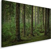Schilderij - Het Bos, Groen, 5 maten, Premium Print