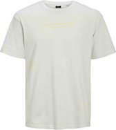 Jack & Jones T-shirt jongen glacier gray/ loose maat 176