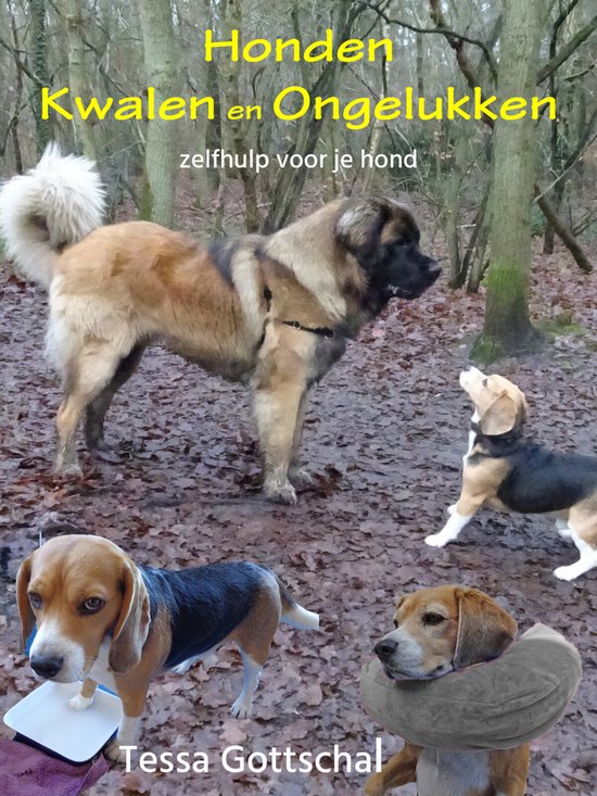 Honden kwalen en ongelukken - cover