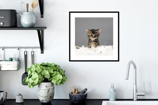Affiche avec cadre Chat - Chaton - Ressorts - 40x40 cm
