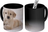 Magische Mok - Foto op Warmte Mokken - Koffiemok - Witte Golden Retriever puppy - Magic Mok - Beker - 350 ML - Theemok