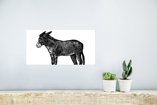 Poster een zwarte ezel - 40x20 cm