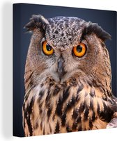 Tableau sur toile Un gros plan d'un hibou marron - 20x20 cm - Décoration murale Art