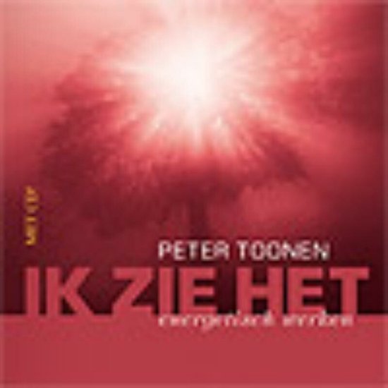 Cover van het boek 'Ik zie het'
