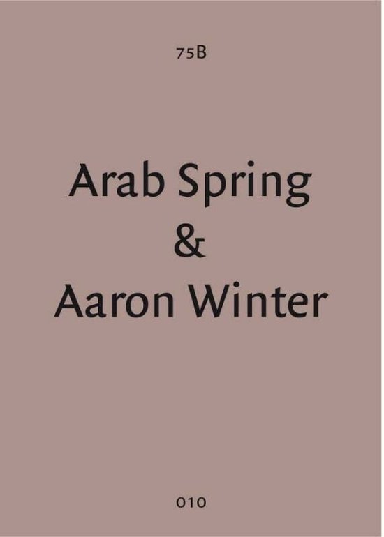 Cover van het boek 'Arab Spring & Aaron Winter (Dutch edition)' van Rens Muis
