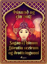 Þúsund og ein nótt 9 - Sagan af hinum fjörutíu vezírum og drottningunni (Þúsund og ein nótt 9)