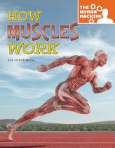 The Human Machine - How Muscles Work