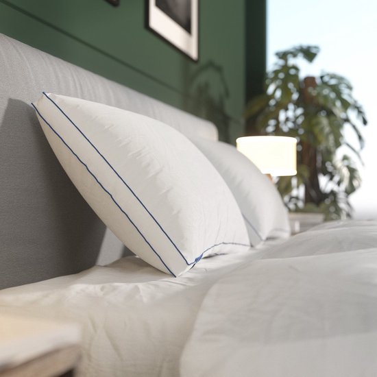 Dixxius Comfort 90% Dons Hoofdkussen | Swiss Sense