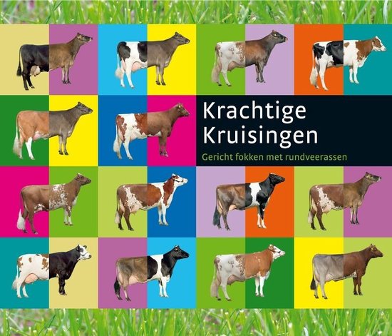 9789075280838 - Krachtige Kruisingen