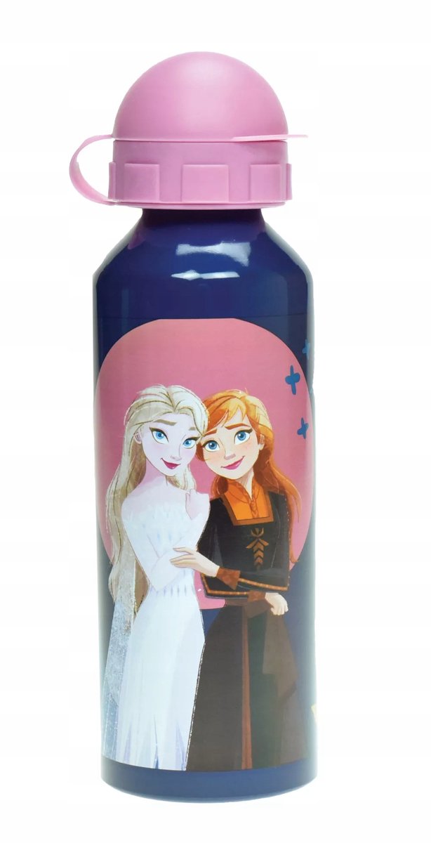 Disney Frozen Aluminium Fles Elsa Anna 520ml