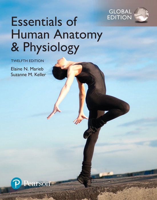 Essentials of Human Anatomy & Physiology, Global Edition - cover
