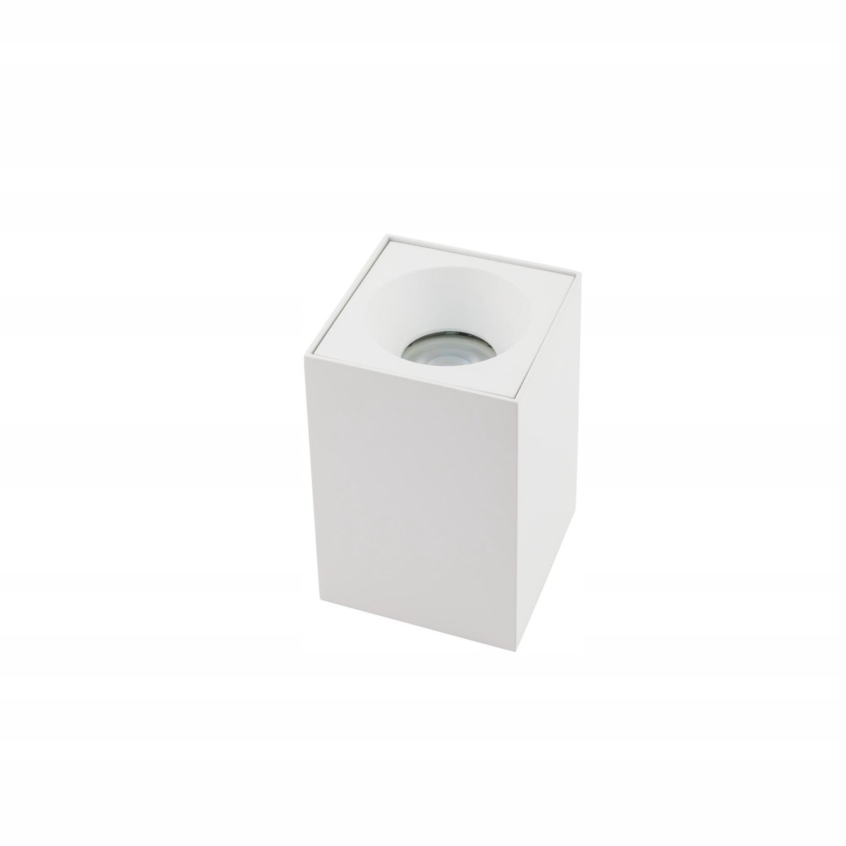 BRAVO Plafondlamp Wit GU10 15W IP54 Aluminium Glas