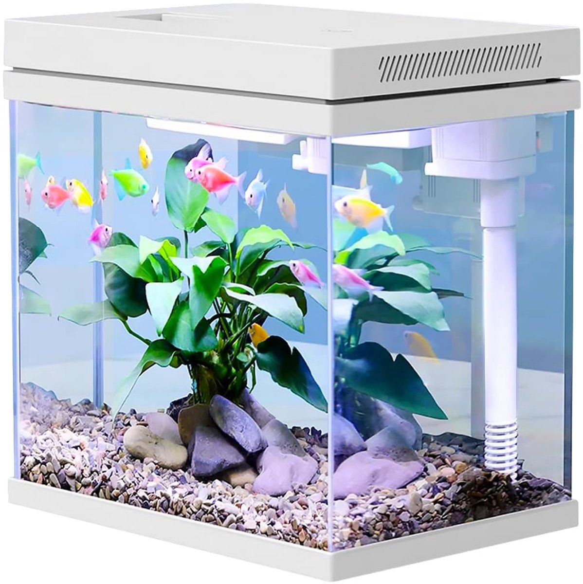 Unyqoos® Compact aquarium met LED-verlichting en filtersysteem voor tropische vissen