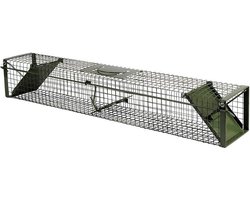 Steenmarter vangkooi