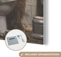 Product afbeelding  10