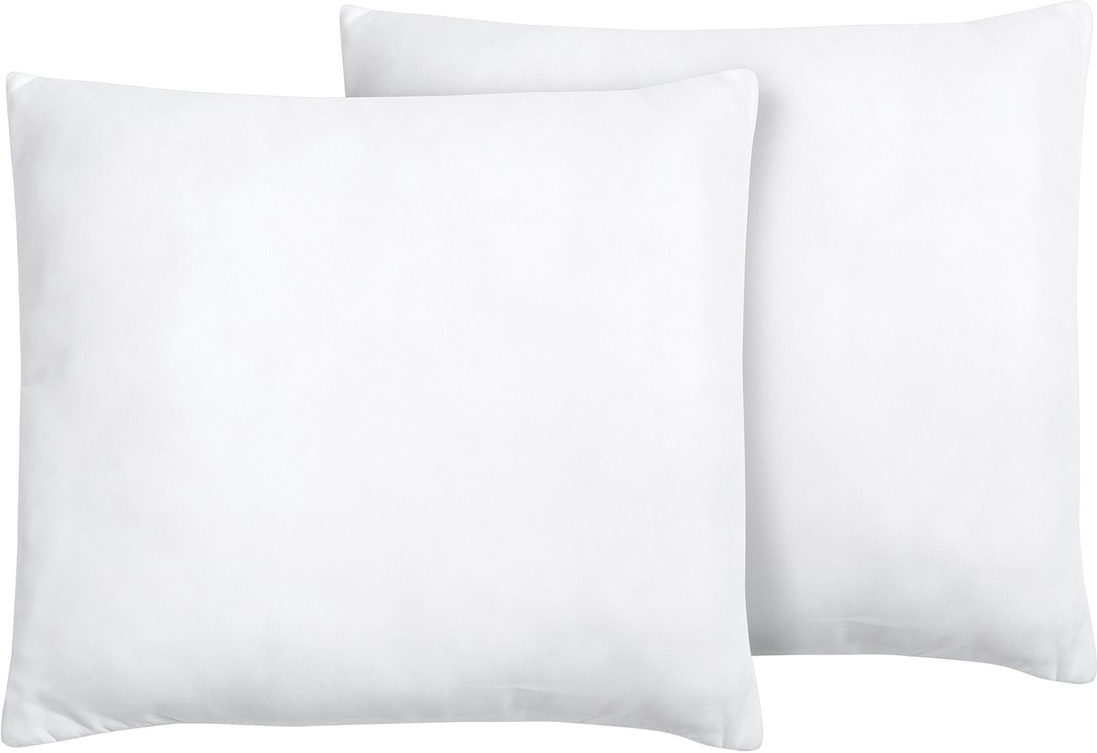 BELIANI ERRIGAL - Kussen set van 2 - Wit - 80 x 80 cm - Microvezels