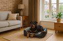 Rottweiler ligt in een grijze en zwarte Scruffs mand in een woonkamer.