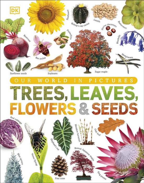 DK Our World in Pictures - Trees, Leaves, Flowers & Seeds - cover