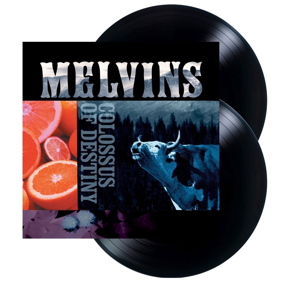 Melvins - Colossus Of Destiny (2 LP)