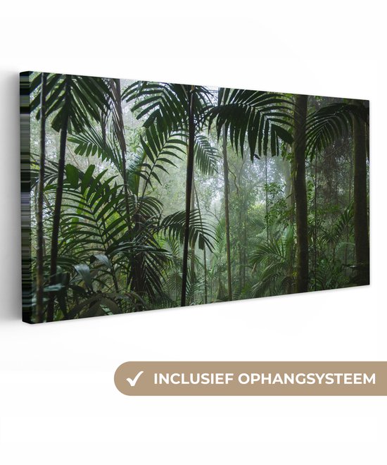 Canvas schilderij 100x50 cm - Wanddecoratie Regenwoud - Tropisch - Jungle - Bomen - Planten - Muurdecoratie woonkamer - Slaapkamer decoratie - Kamer accessoires - Schilderijen op canvas