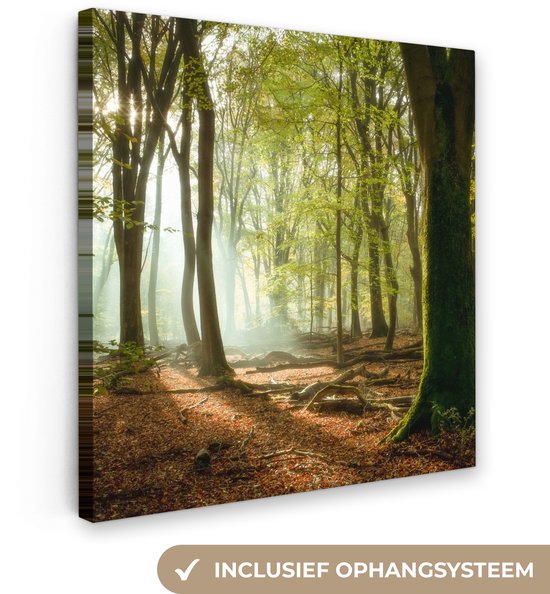 Une forêt mystique avec des rayons de soleil filtrant à travers la brume et des feuilles tombées au sol.