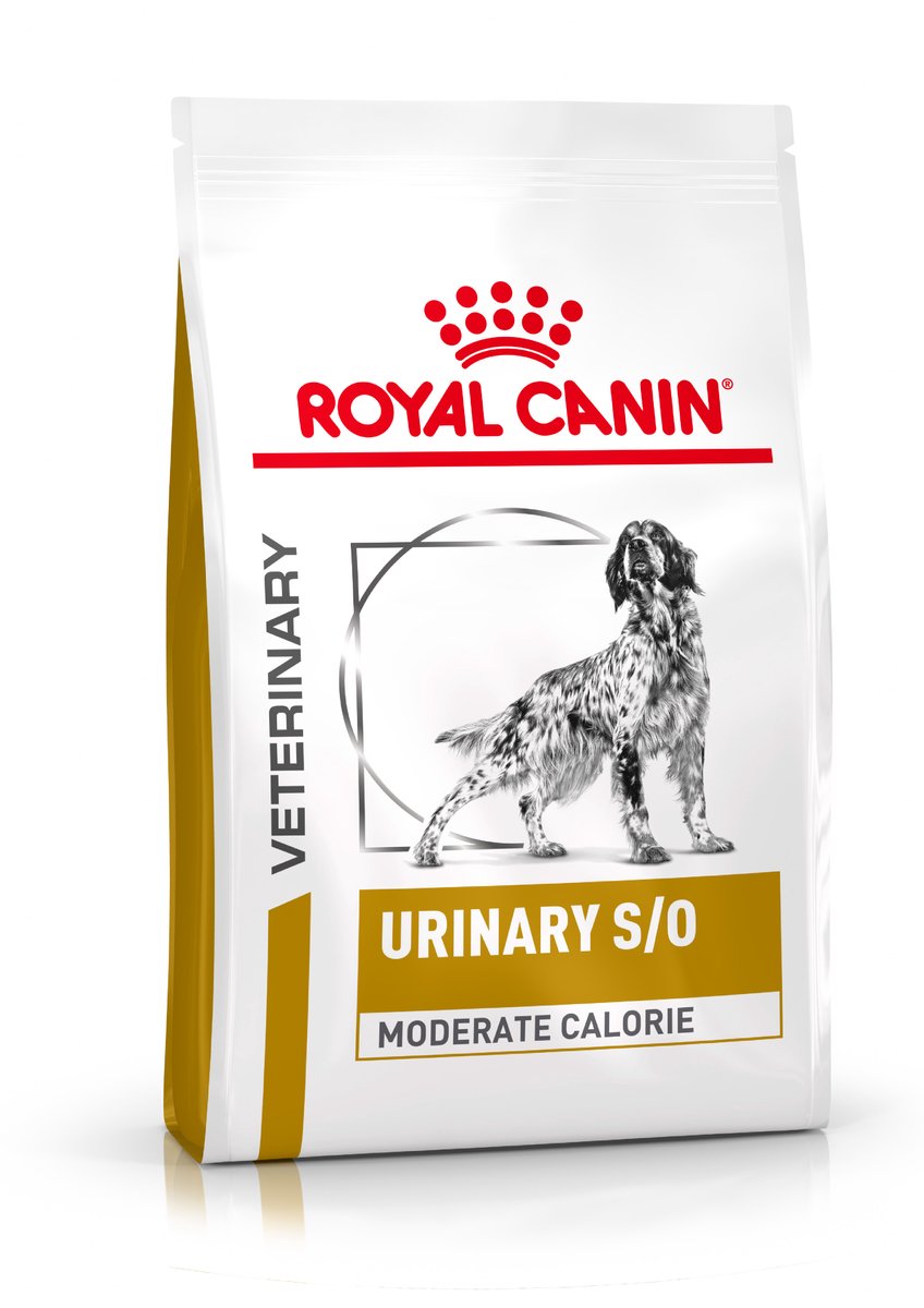 Royal Canin Veterinary Urinary S/O Moderate Calorie hondenvoer 6,5 kg