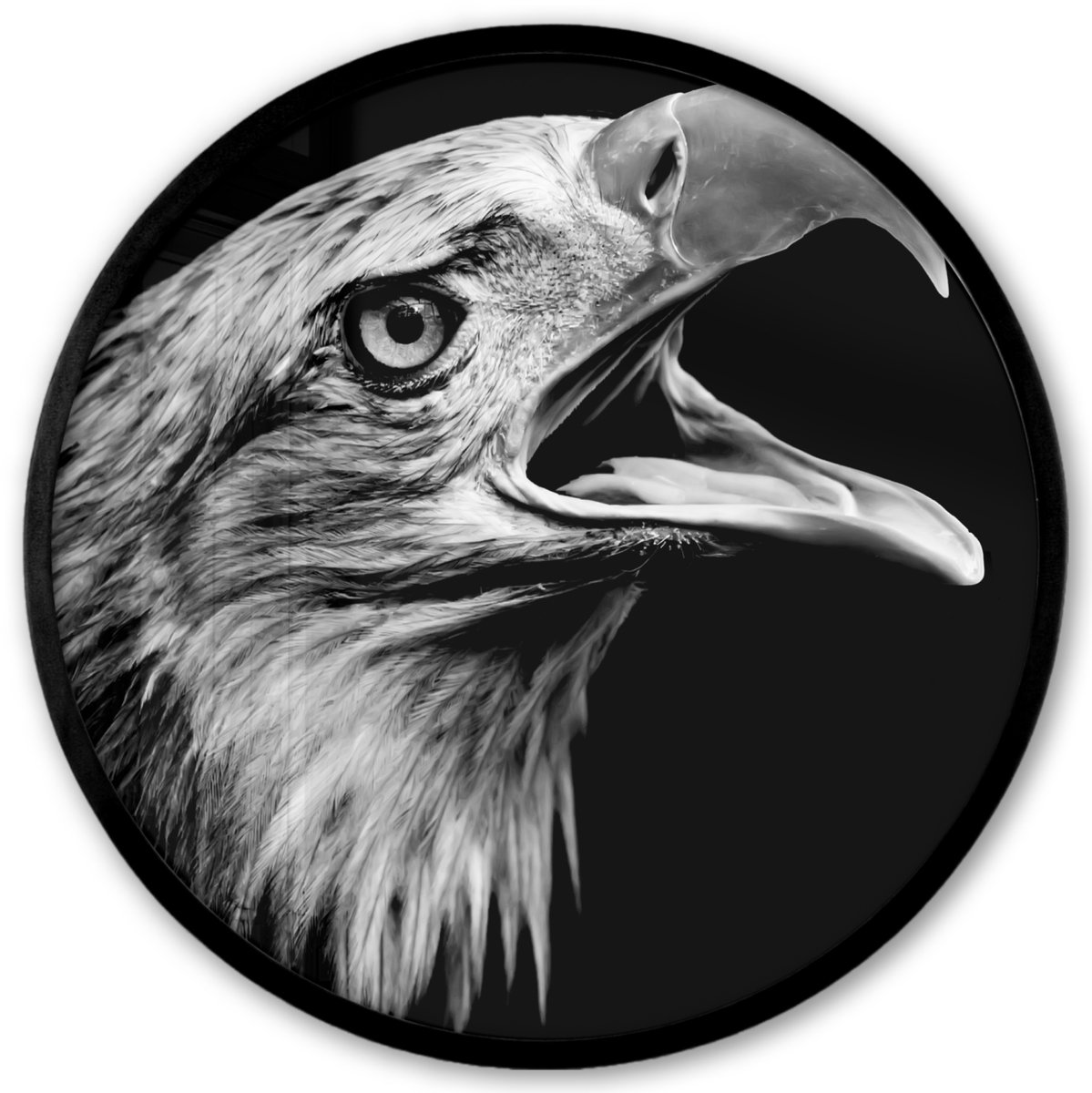 FrameYourWall Poster in lijst Rond - Fotolijst 40x40 cm - Posters - Adelaar - Portret - Roofvogels - Zwart - Wit - Vogel - Ronde posterlijst zwart - Decoratie - Wanddecoratie woonkamer - Muurdecoratie slaapkamer Multicolor