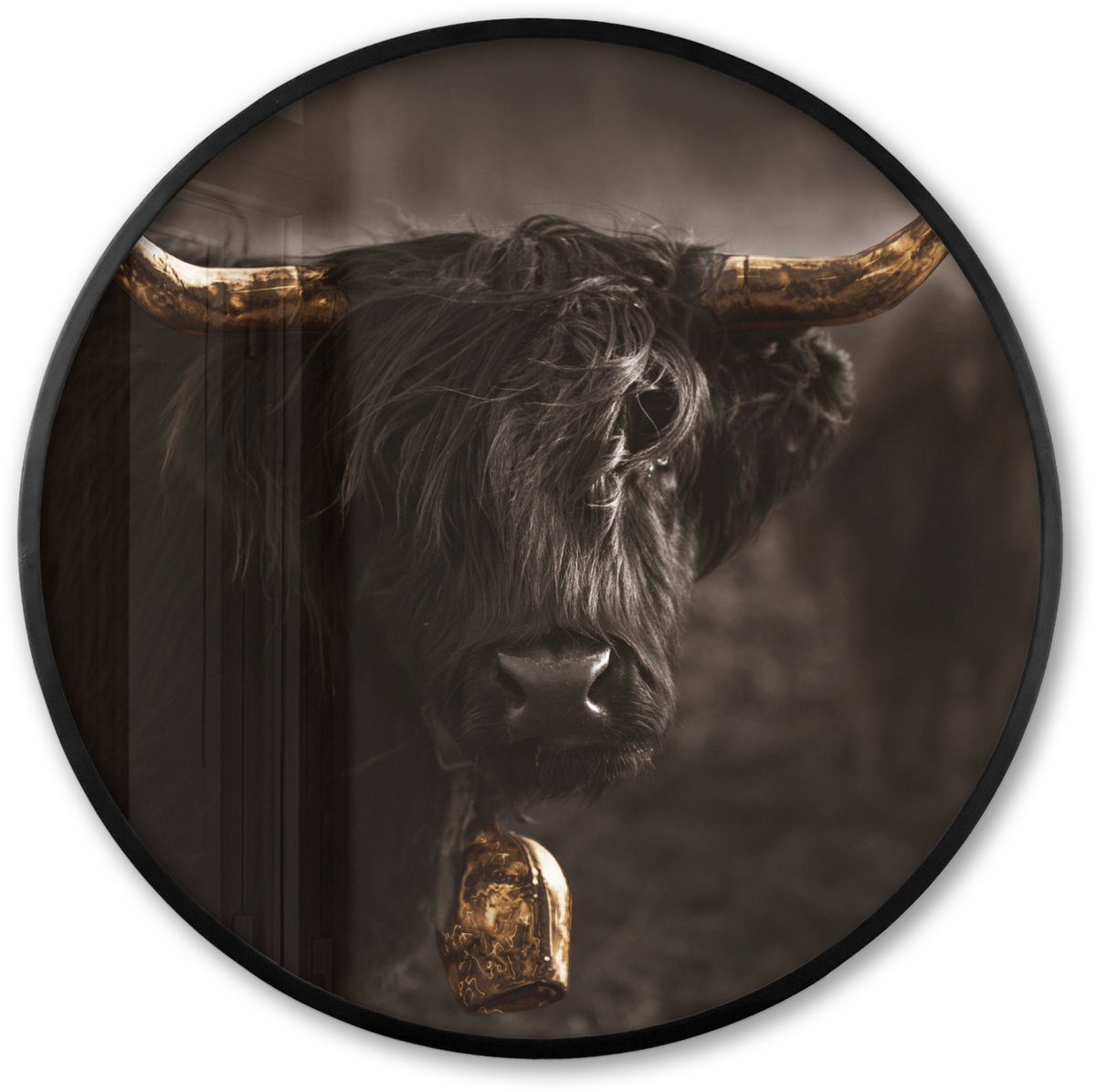FrameYourWall Poster in lijst Rond - Fotolijst 60x60 cm - Posters - Schotse hooglander - Goud - Koebel - Hoorns - Dieren - Ronde posterlijst zwart - Decoratie - Wanddecoratie woonkamer - Muurdecoratie slaapkamer