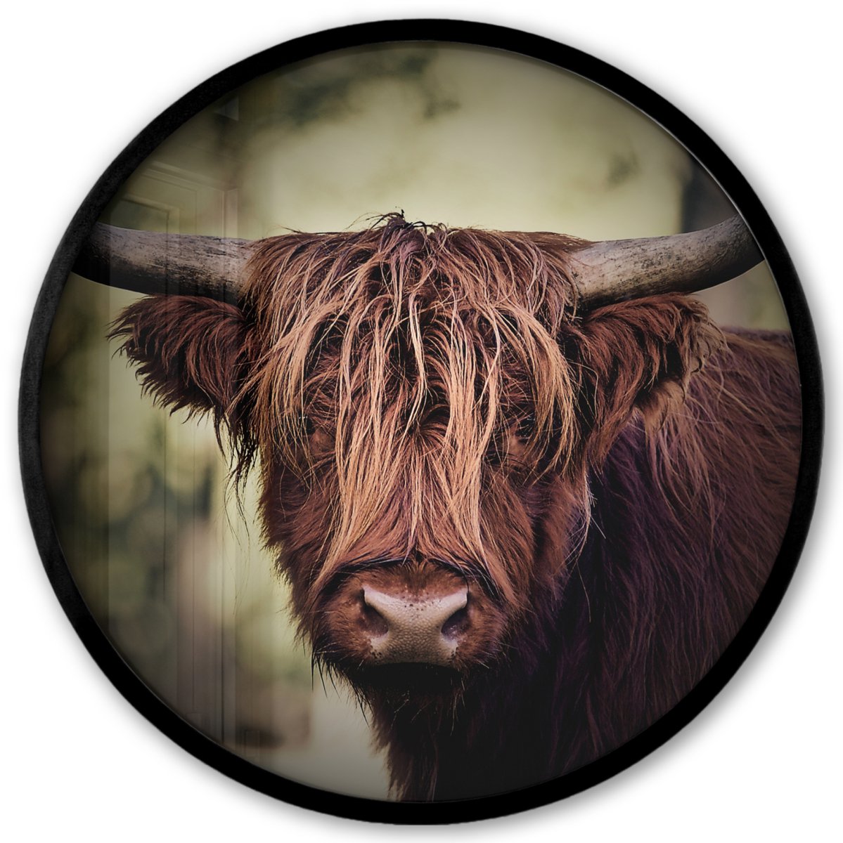 FrameYourWall Poster in lijst Rond - Fotolijst 40x40 cm - Posters - Schotse hooglander - Licht - Portret - Natuur - Ronde posterlijst zwart - Decoratie - Wanddecoratie woonkamer - Muurdecoratie slaapkamer