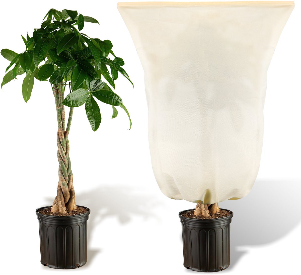 Plantenhoes tegen vorst - 80×100cm - Anti-vorst beschermhoes planten - Vorstbescherming voor Planten - Vorst beschermende zak - Potbeschermer, herbruikbaar 100g/㎡