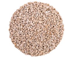 Gepelde Zonnebloempitten 10 kg | Vogelvoer voor Wilde Vogels