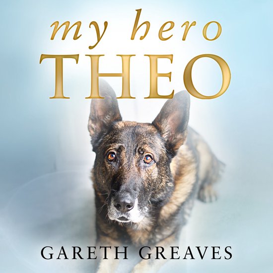 My Hero Theo - cover