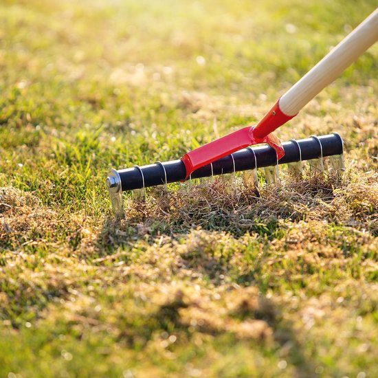 KADAX Gazonbeluchter, handmatige verticuteermachine voor tuin, gazon, schuim, tuinaccessoires van metaal, snijhark, cultivator, gazonbeluchter, verticuteermachine (eenzijdig, zonder handvat) van Merkloos	 — afbeelding 3