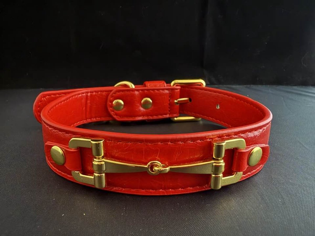 Leren halsband hond - rode hondenhalsband - L - halsomvang 30-41 cm - totale lengte halsband 46 cm - breedte 2,5 cm - goudkleurige accessoires en hondenpoot met strass