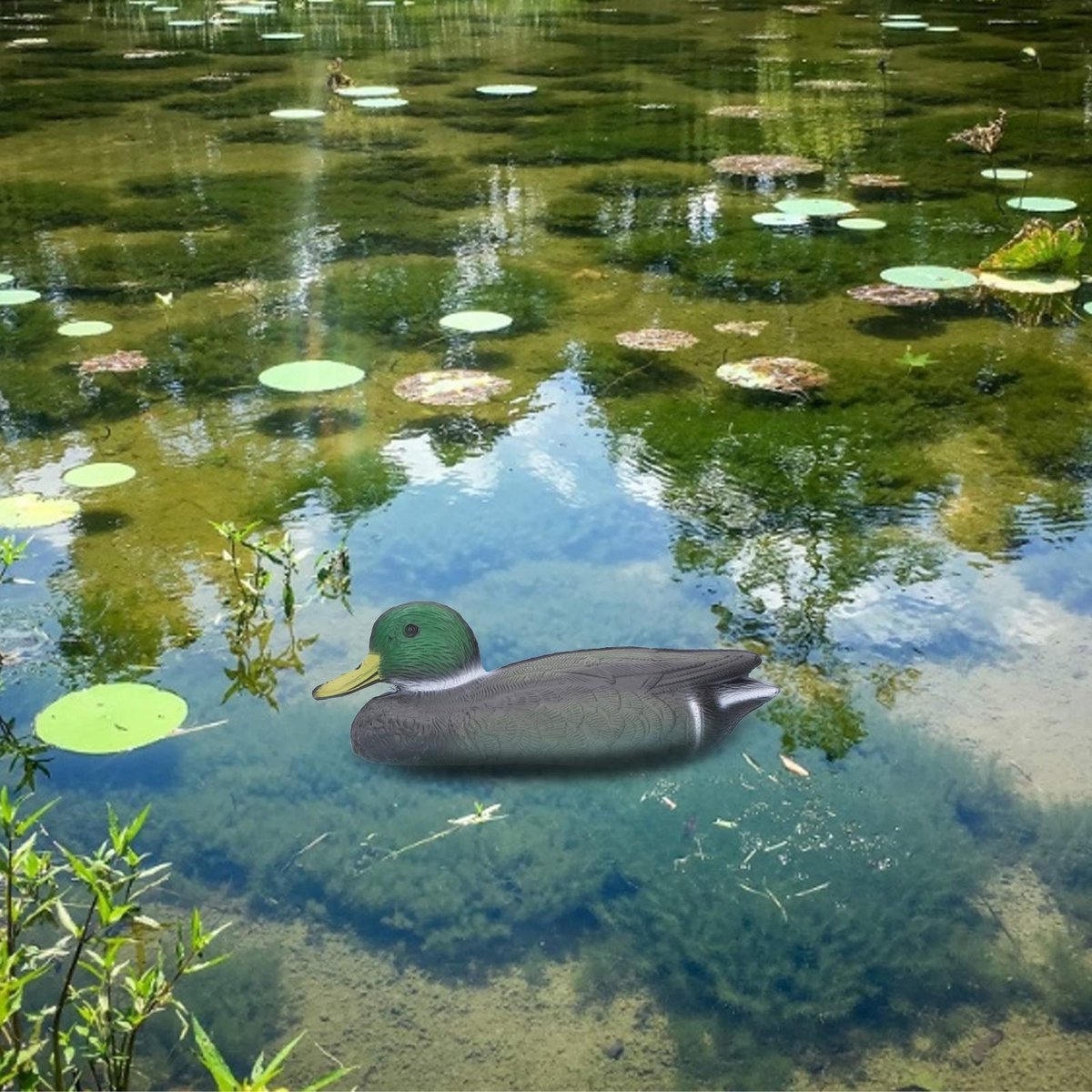 Floating Duck Decoy, 26x11.5cm Duck Hunting Decoy, Simulation Hunting Duck, Mallard Decoys for Garden Pool Yard Lake Decoration(male)