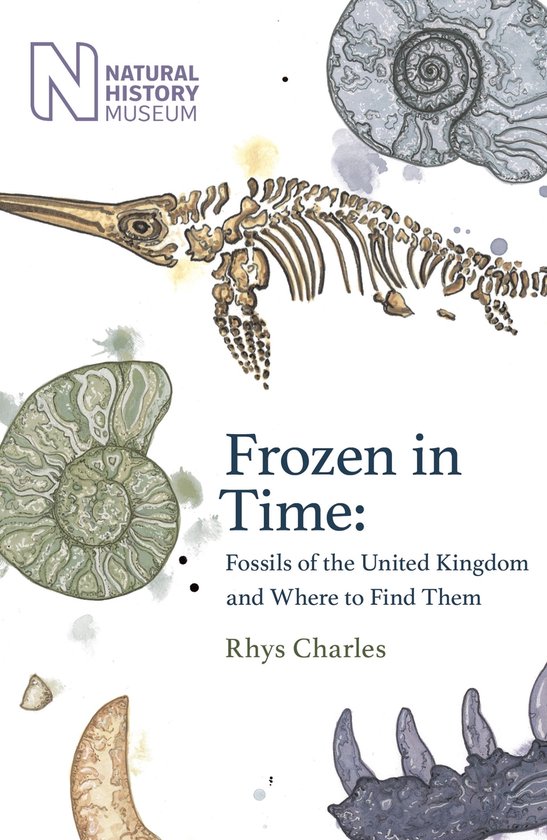 Frozen in Time - cover