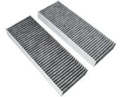 AllSpares koolstoffilter BAKFS (anti-visgeur) geschikt voor Bora Basic - BHU - BIU - BFIU GP4 (2st.)