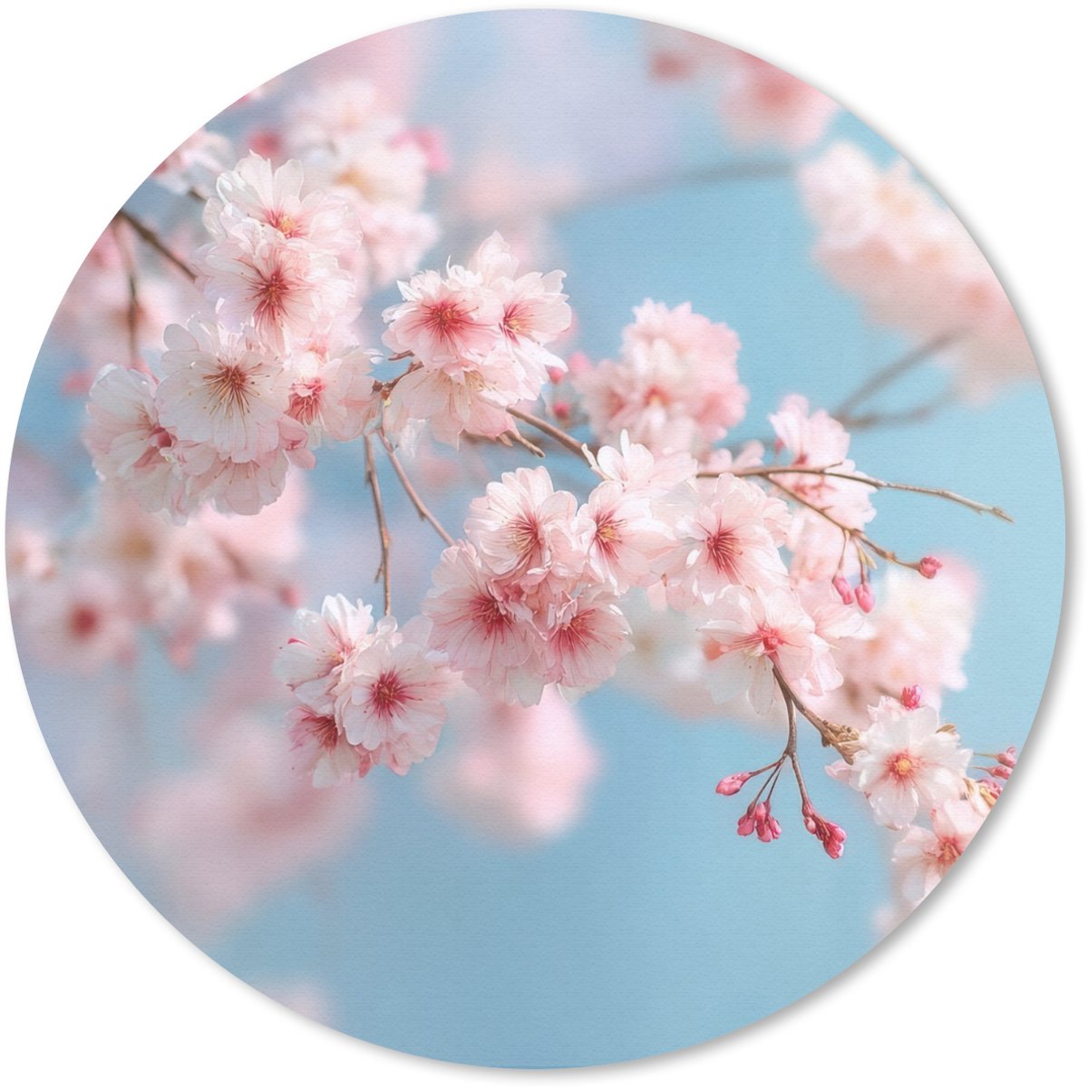 Muismat rond 30x30 cm - Mousepad Takken - Bloesems - Roze - Ronde muismatten