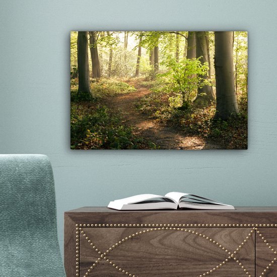 Chemin dans la forêt Toile 30x20 cm - petit - Tirage photo sur toile (Décoration murale salon / chambre) / Décoration murale Peintures sur toile
