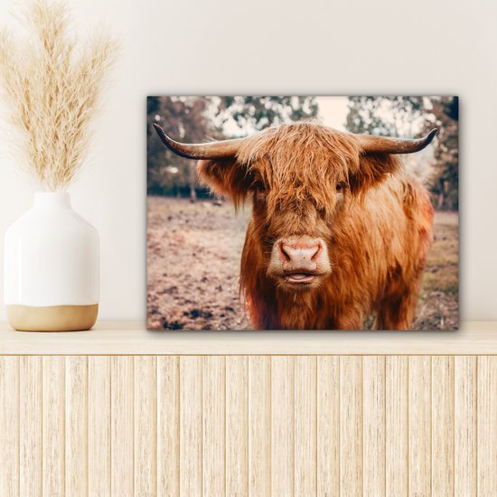 Tableau sur toile - Highlander - Animaux - Vache - Peintures salon - Décoration chambre - Toile toile - 40x30 cm