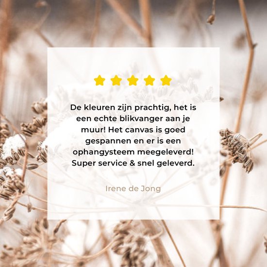 Peinture sur toile 160x80 cm - Décoration murale Fleurs séchées - Wit - Plantes - Décoration murale murale salon - Décoration chambre - Accessoires de chambre - Peintures