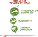 Schema met de voordelen van Royal Canin kattenvoer: actief, huidbarrière, gewrichten.