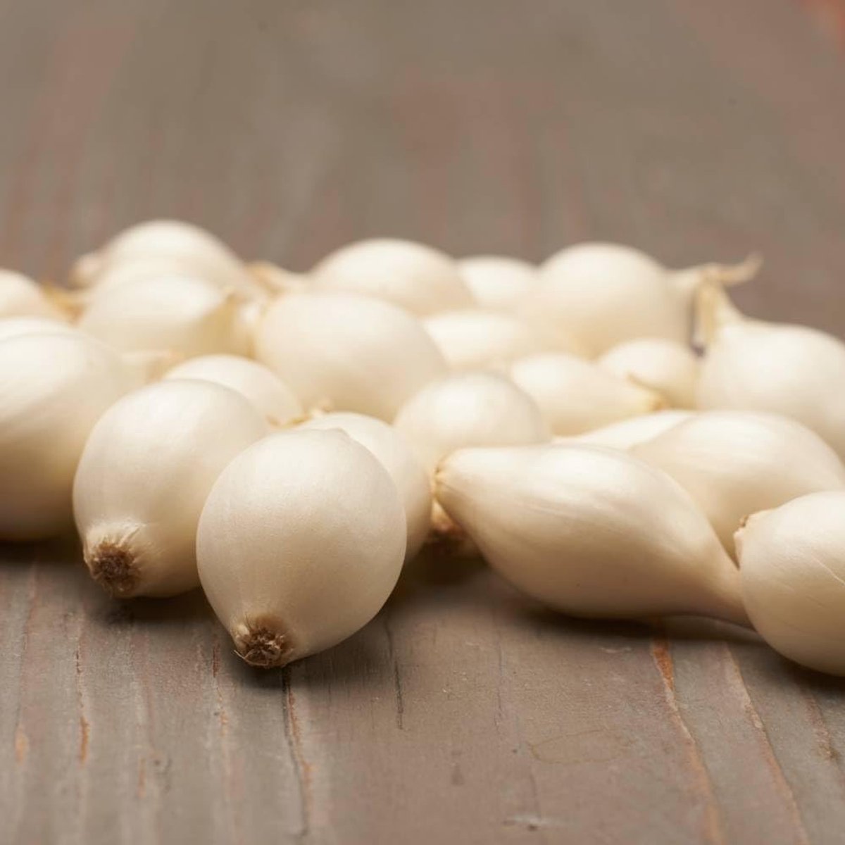 Ui bol om te plant - Uibollen - Snowball - Bloembollen - 500 gram - Wit - Voor de Moestuin