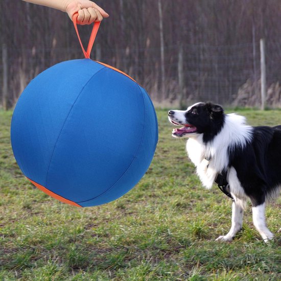 Hondenhuisdier tennisballen speelgoed oranje kleur voor puppyballen kleine middelgrote honden, ontworpen voor honden drijven, waterjacht, ophalen, leuk spelen, dagelijkse oefening, mid-air vangen