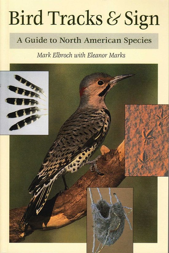 Boek 'Bird Tracks & Sign', met een afbeelding van een gevlekte specht en veren, sporen en een vogelnest.