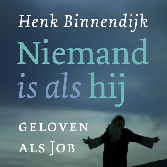 Niemand is als hij - cover