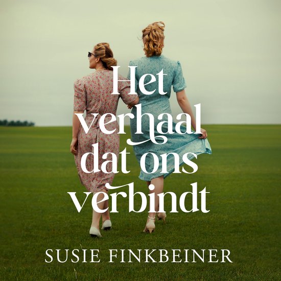 Het verhaal dat ons verbindt - cover