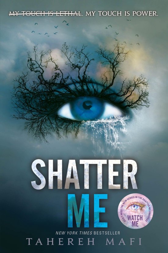 Shatter Me - cover