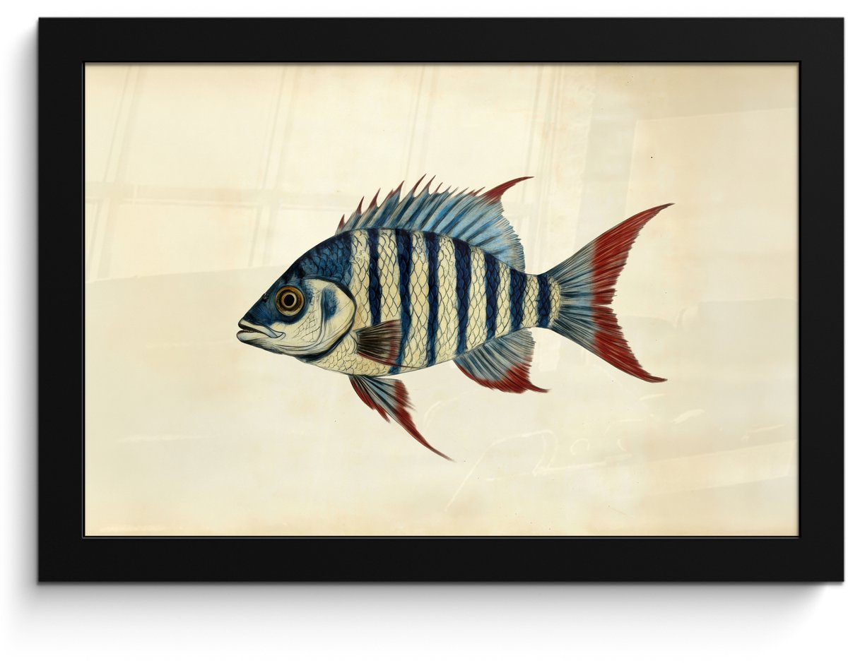 FrameYourWall Poster in lijst - Fotolijst 30x20 cm - Posters - Gestreept - Donkerblauw - Rugvin - Vis - Posterlijst zwart - Decoratie - Wanddecoratie woonkamer - Muurdecoratie slaapkamer Vis - Rugvin